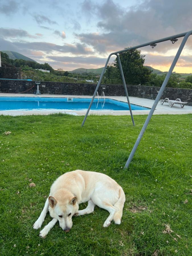Arrenquinha Guesthouse 1 São Vicente Ferreira Eksteriør bilde